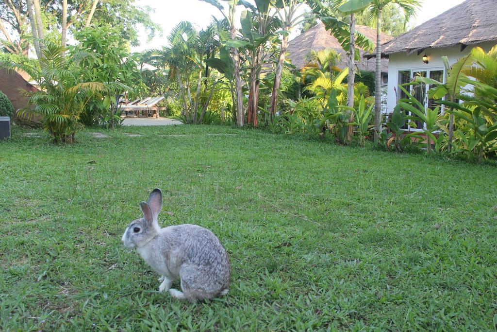 Blue Sea Boutique Hotel Sihanoukville Exterior photo